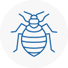 Bed Bug Extermination In Wootton