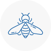 Bee Nest Removal Wootton