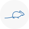 Mice Exterminators In Wootton