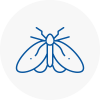 Moth Control Specialists In Wootton