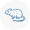 Rat Control Wootton