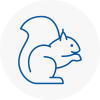 Wootton Rodent Removals